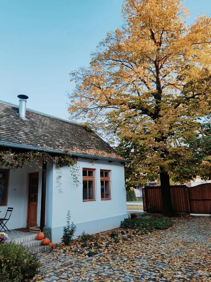 Ethno&Coffee House Tulip Bed and Breakfast Glozan Εξωτερικό φωτογραφία